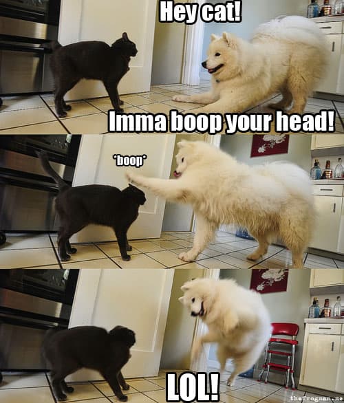 boop.jpg