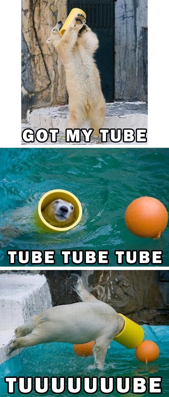 tubetubetube.jpg